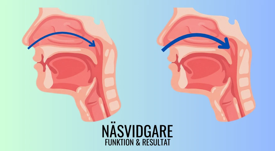 Näsvidgares effekt på luftflödet genom näshålan