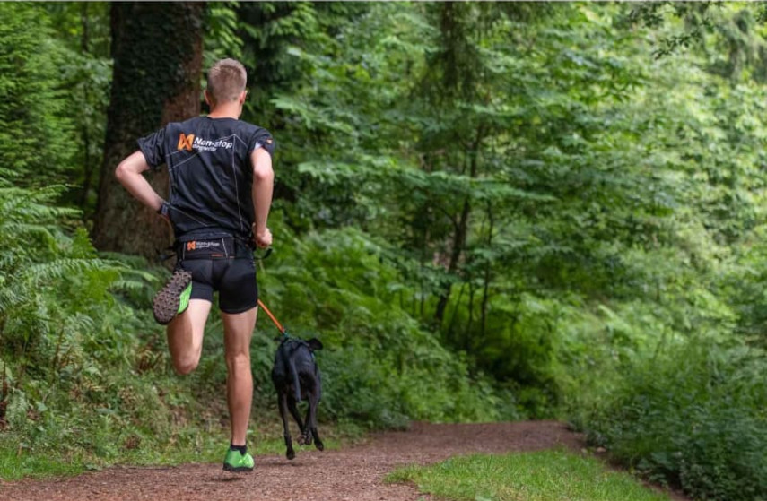 springer med Non-stop dogwear Canix Belt midjebälte och hund i koppel