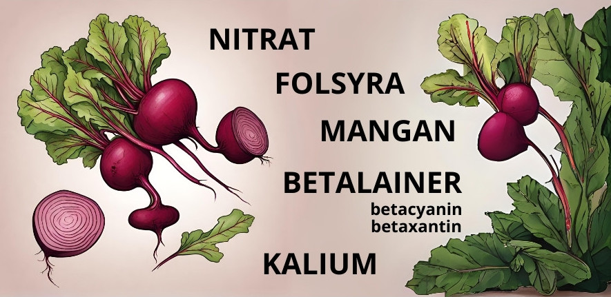 Ämnen i rödbetor