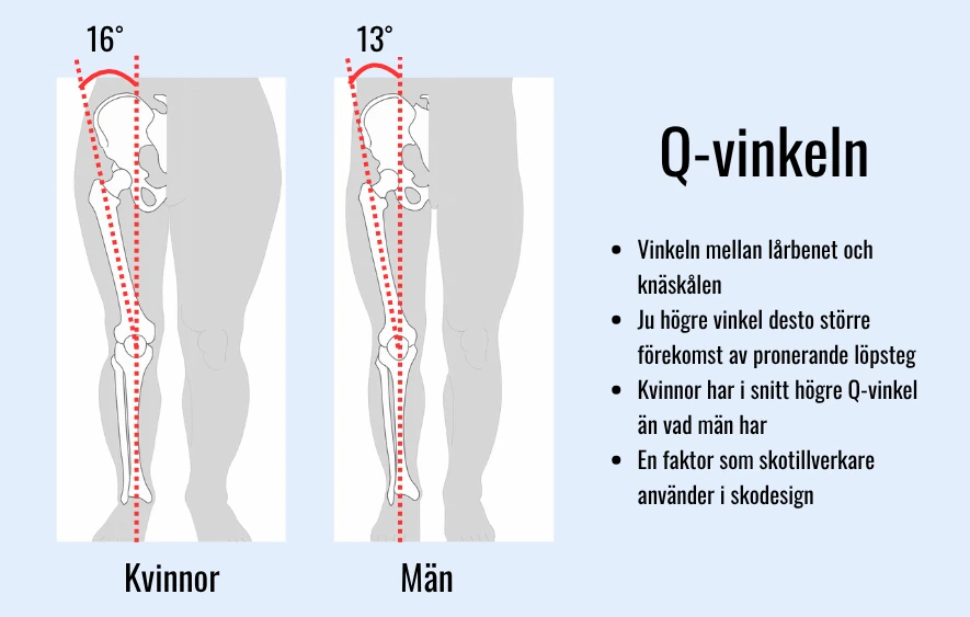 Bilden visar skillnaden i q-vinkel mellan män och kvinnor, vinkeln mellan knäskålen och lårbenet