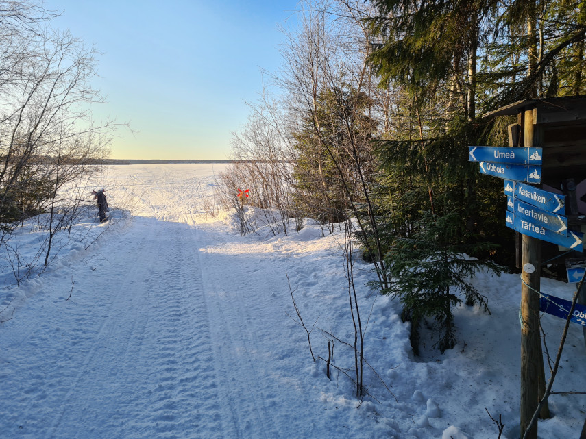 Skoterled ut på Umeälven från Holmsund i riktning mot Umeå