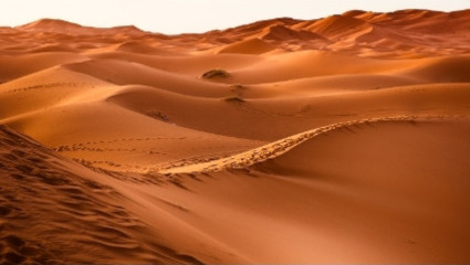 Saharaöknen